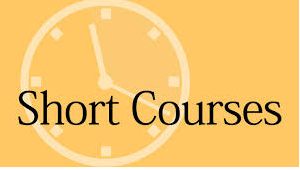 Nina's short courses A1 Grammar
